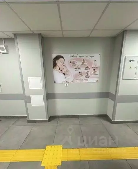 Помещение свободного назначения в Свердловская область, Екатеринбург ... - Фото 2