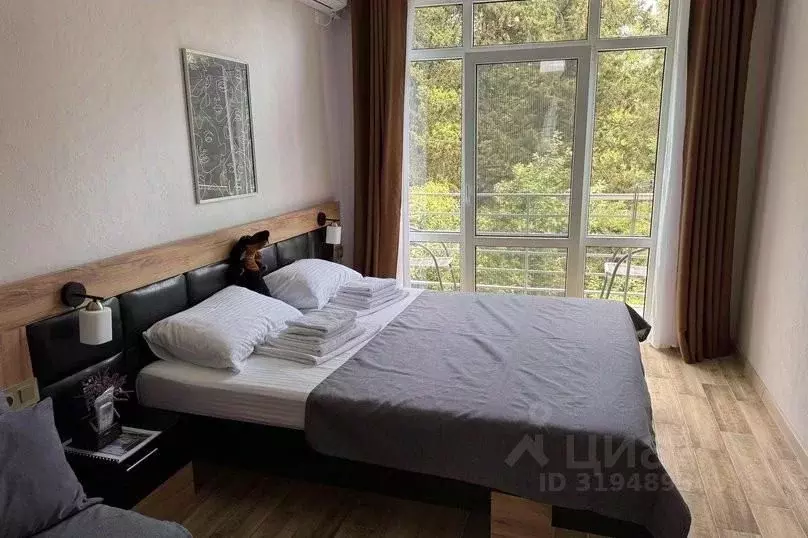 1-к кв. Краснодарский край, Сочи Сухумское ш., 29Б (23.0 м) - Фото 1