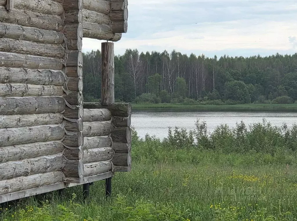 Участок в Тверская область, Калязинский муниципальный округ, д. ... - Фото 1