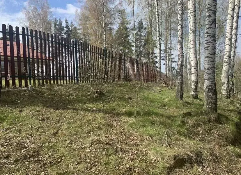 Участок в Ленинградская область, Всеволожский район, Колтушское ... - Фото 1