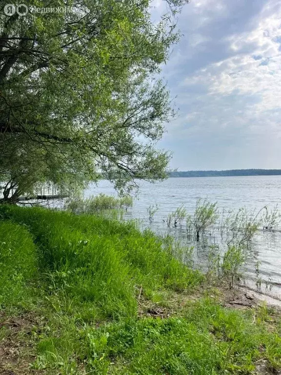 Участок в деревня Волково, 16 (13.5 м) - Фото 0