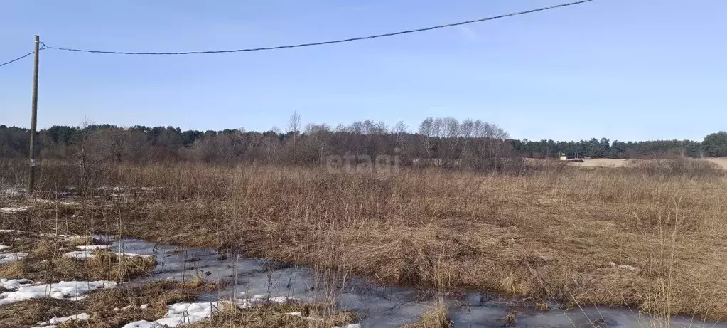 Участок в Ленинградская область, Волховский район, Сясьстройское ... - Фото 1