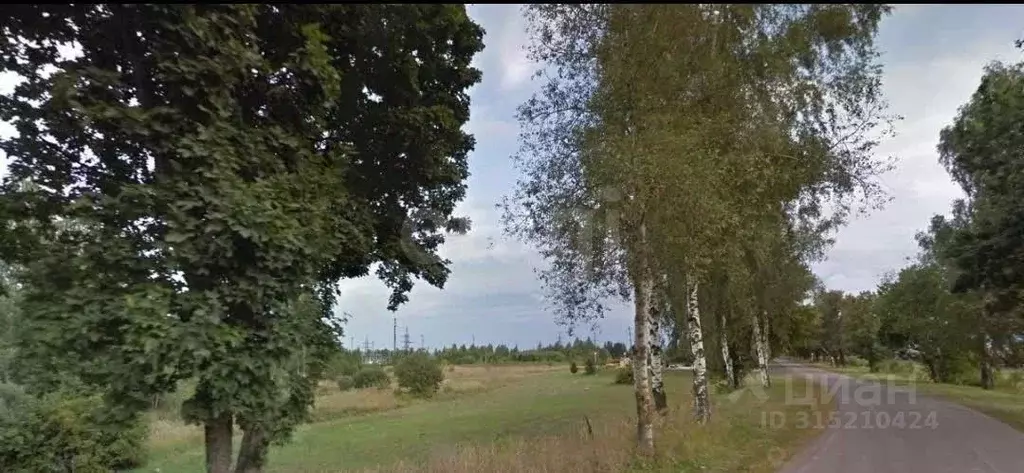 Участок в Брянская область, Карачев  (511.0 сот.) - Фото 1