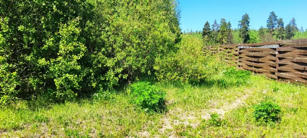 Участок в Московская область, Лосино-Петровский городской округ, ... - Фото 1