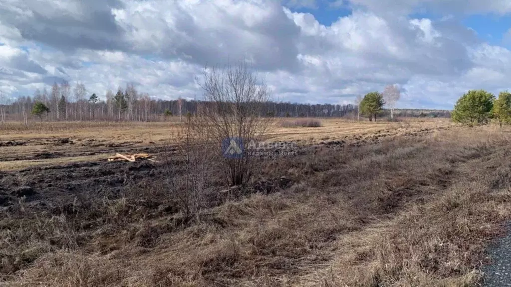 Участок в Тюменская область, Нижнетавдинский район, д. Штакульская ... - Фото 0