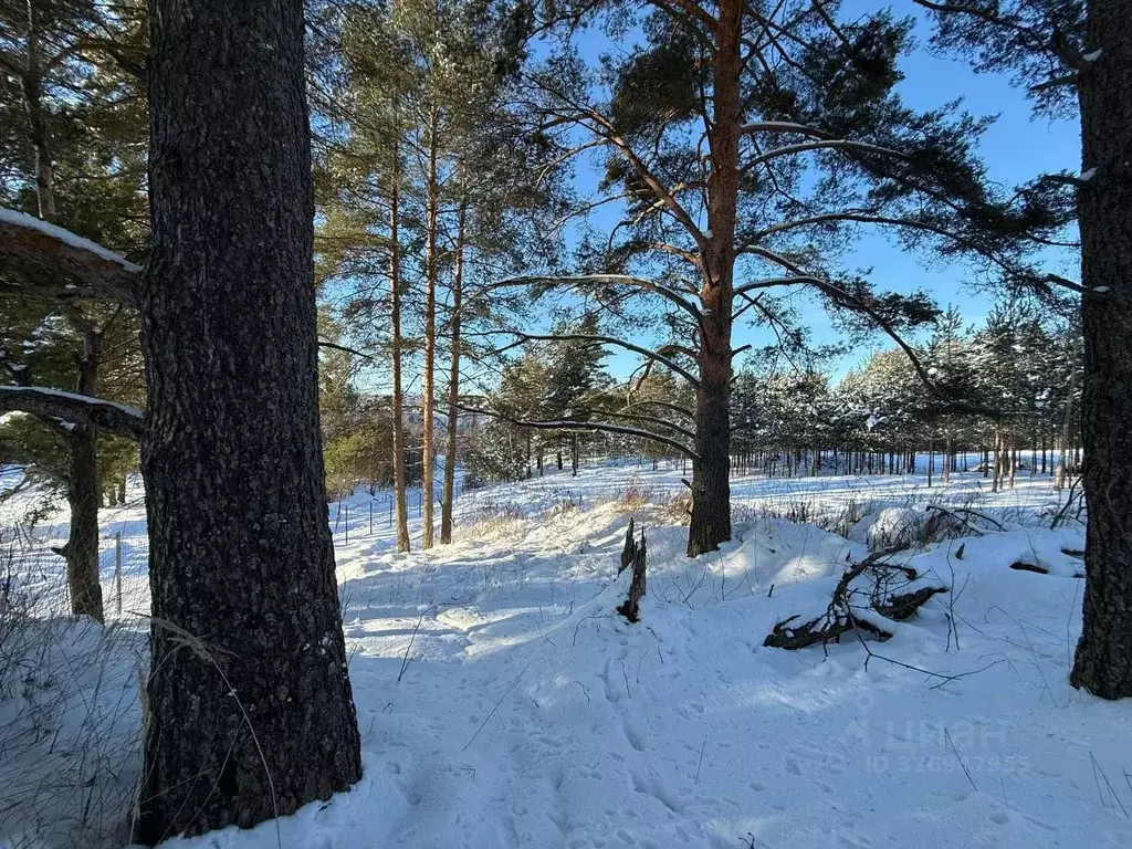 Участок в Ленинградская область, Выборгский район, Первомайское с/пос, ... - Фото 2
