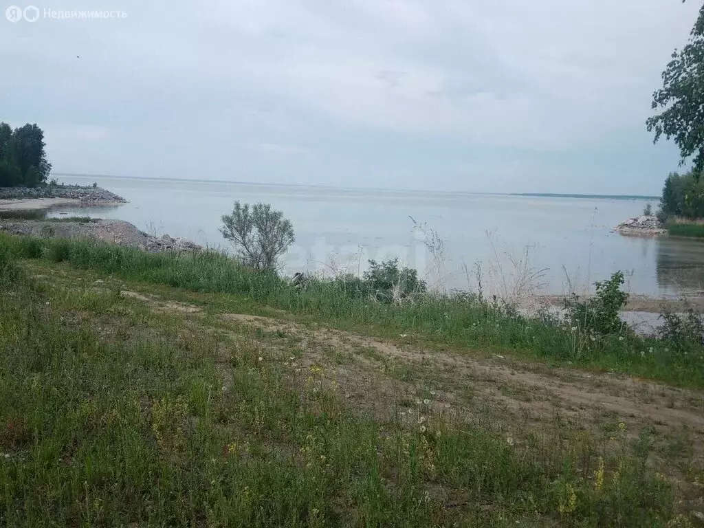 Участок в село Сосновка, Школьная улица (10 м) - Фото 1