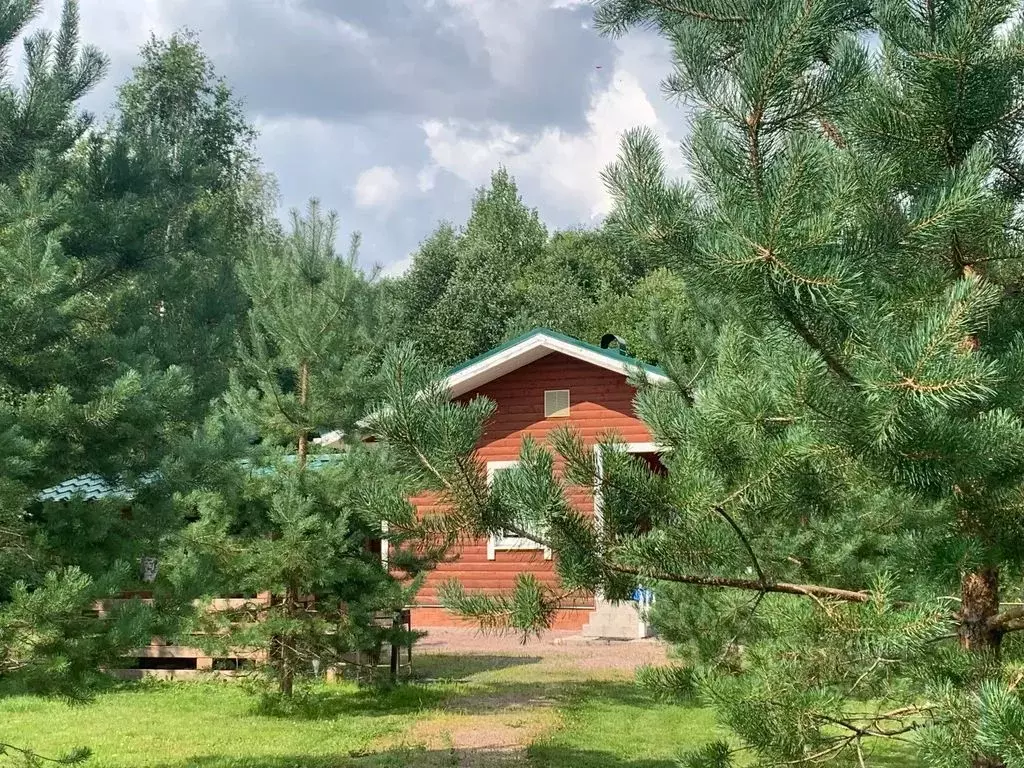 Дом в Карелия, Сортавальский муниципальный округ, пос. Рюттю 30 (48 м) - Фото 0