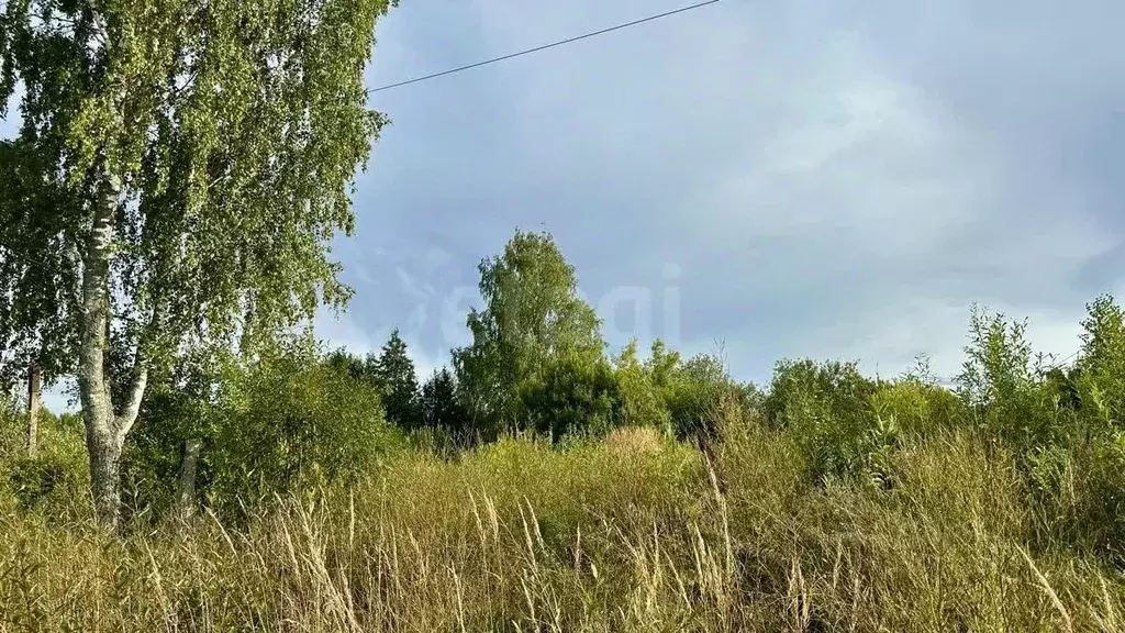 Участок в Вологодская область, Череповецкий район, Судское с/пос, пос. ... - Фото 1