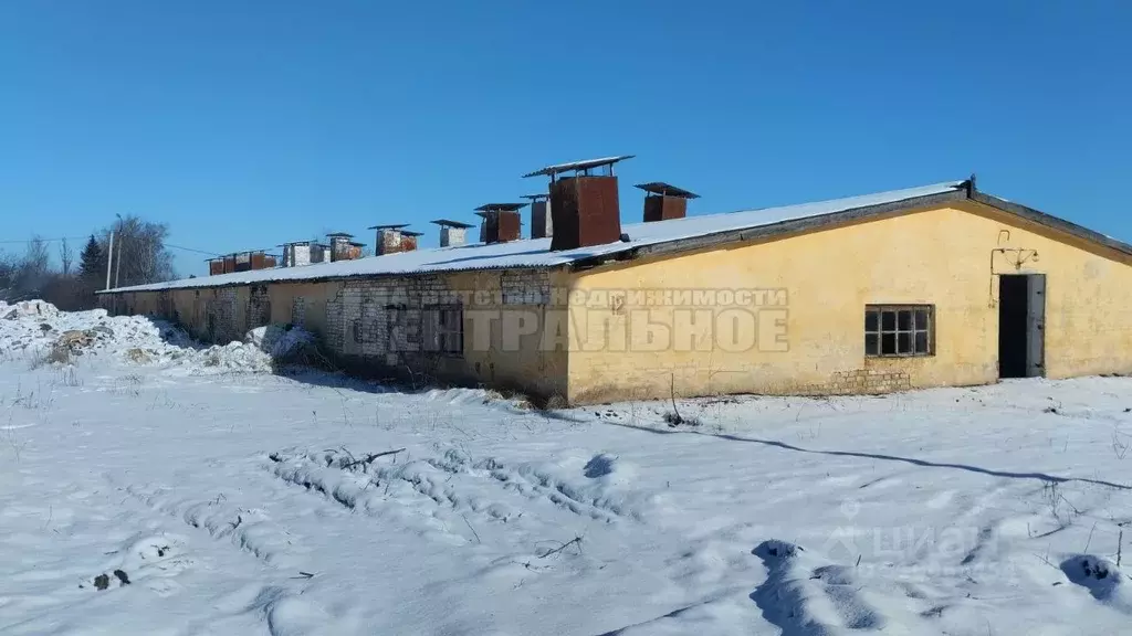 Помещение свободного назначения в Смоленская область, Смоленский ... - Фото 0