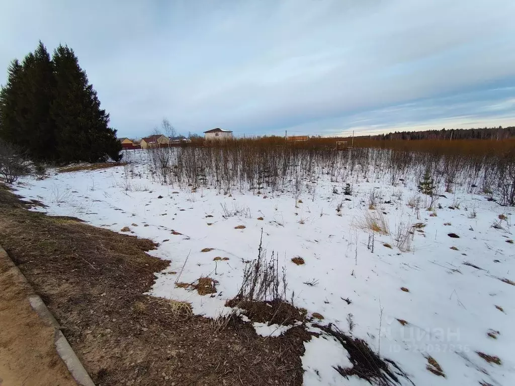 Участок в Московская область, Рузский муниципальный округ, д. Леньково ... - Фото 2