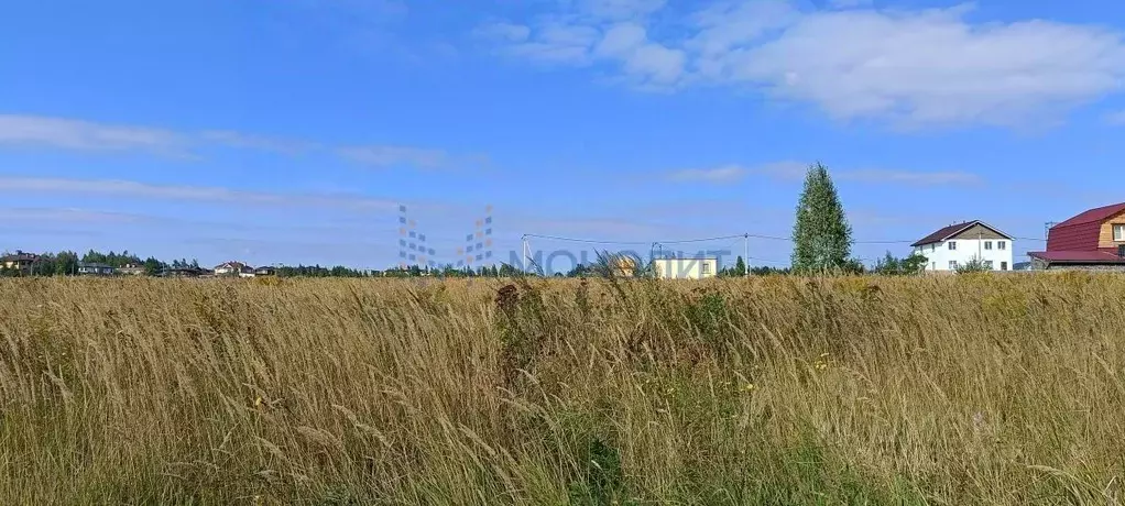 Участок в Нижегородская область, Богородский муниципальный округ, д. ... - Фото 0