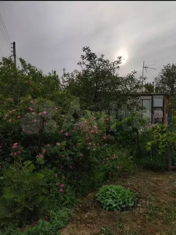 Участок в Астраханская область, Володарский район, Трикотажник-2 ... - Фото 2