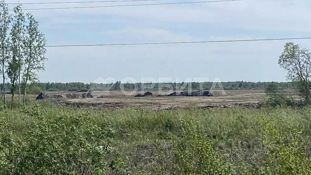 Участок в Тюменская область, Тюмень  (50.0 сот.) - Фото 0