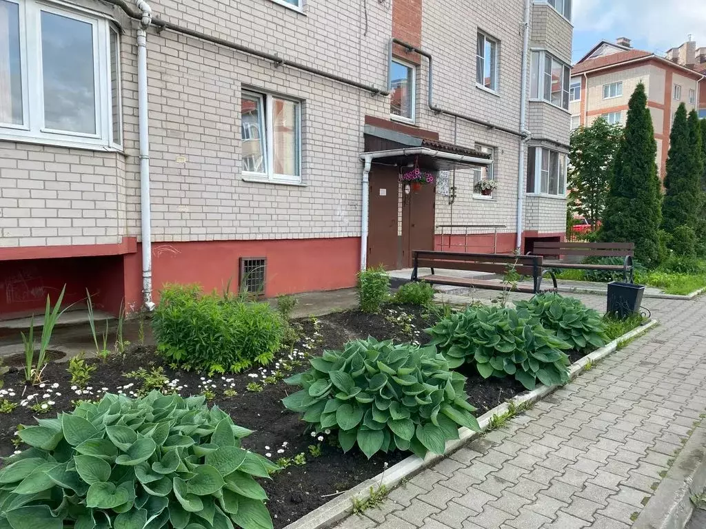 2-к кв. Новгородская область, Великий Новгород Зеленая ул., 12 (64.0 ... - Фото 1