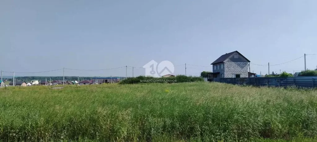 Участок в Новосибирская область, Искитимский район, Мичуринский ... - Фото 1