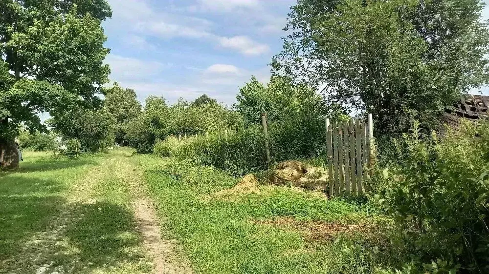 Участок в Нижегородская область, Богородский муниципальный округ, д. ... - Фото 2