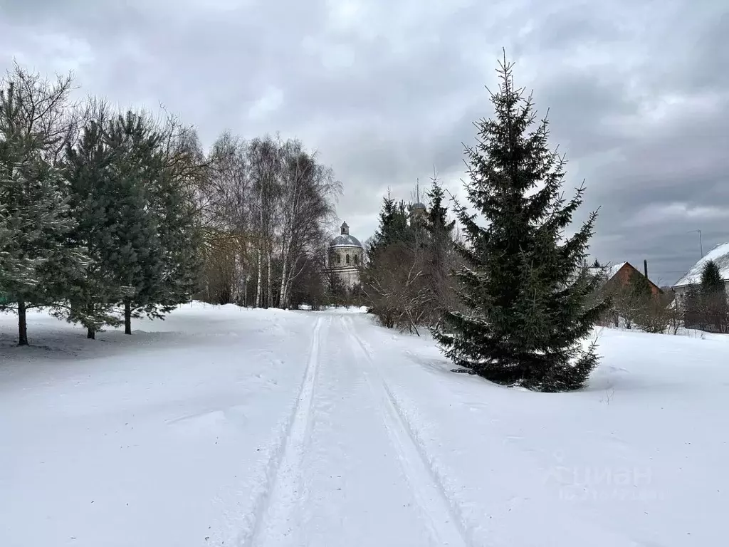 Участок в Московская область, Чехов городской округ, д. Плешкино  (6.0 ... - Фото 1