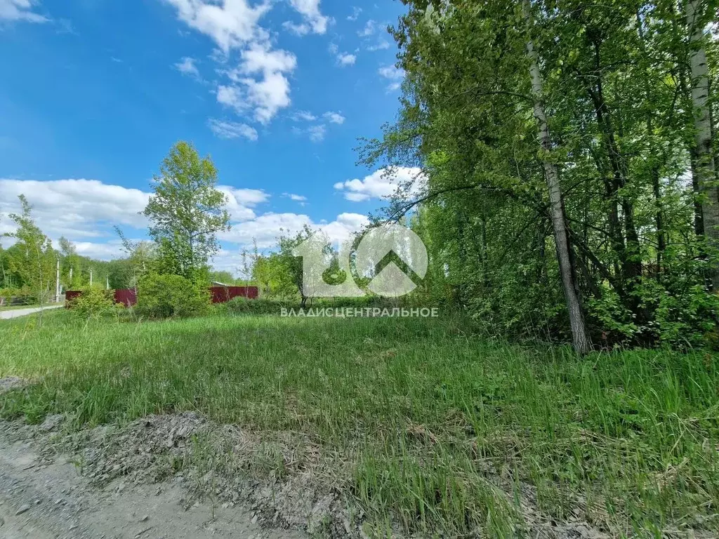 Участок в Новосибирская область, Новосибирский район, Барышевский ... - Фото 2