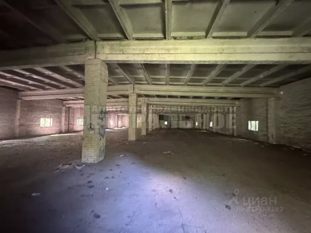 Помещение свободного назначения в Смоленская область, Починковский ... - Фото 2