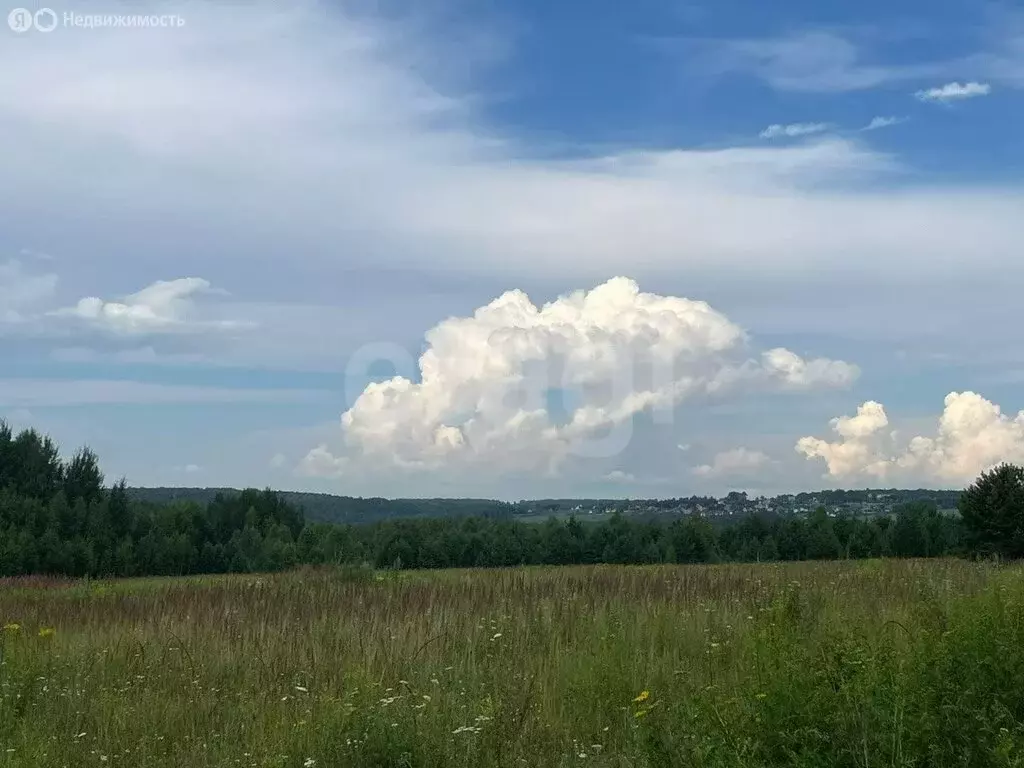 Участок в Киреевский район, сельское поселение Шварцевское, деревня ... - Фото 2