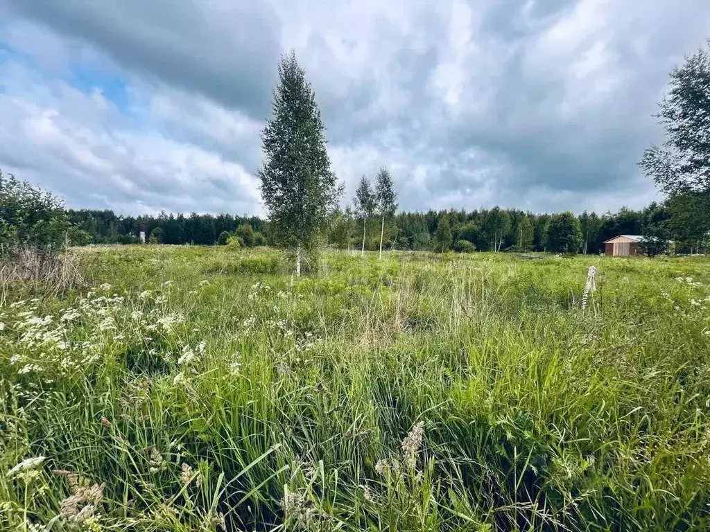 Участок в Костромская область, Костромской район, Бакшеевское с/пос, ... - Фото 1