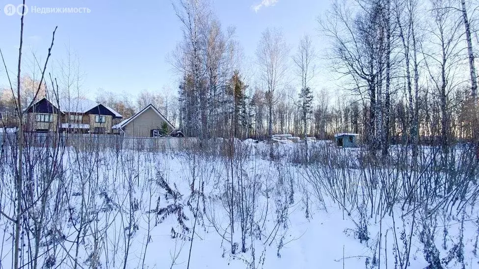 Участок в Тюмень, СНТ Тополя, 17-я улица (8 м) - Фото 1