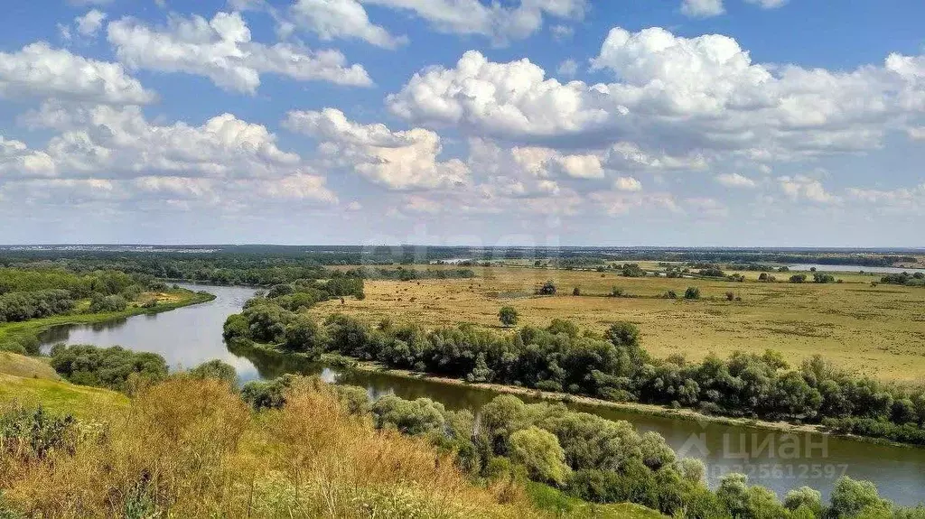 Дом в Воронежская область, Острогожский район, Урывское с/пос, с. ... - Фото 1