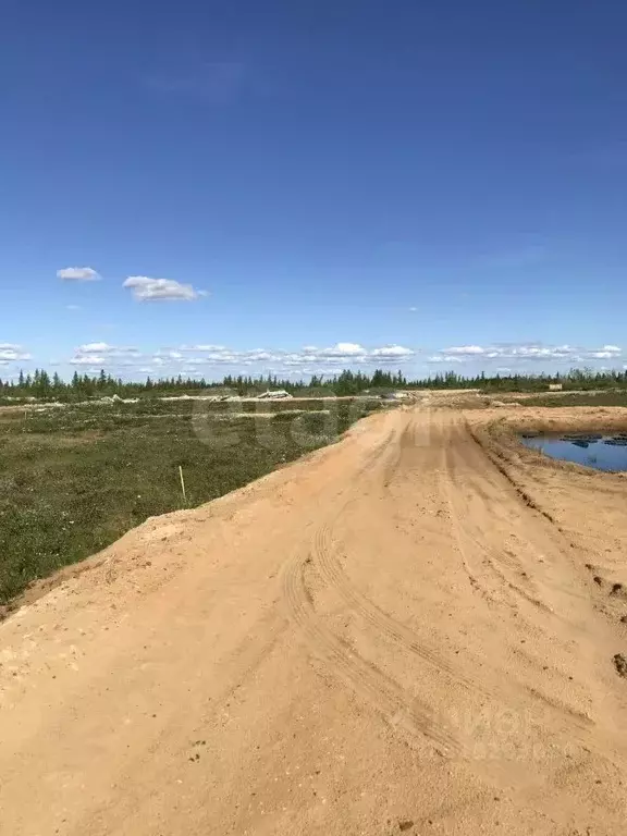 Участок в Ямало-Ненецкий АО, Новый Уренгой ул. 2-я Каскадная, 11 (6.0 ... - Фото 1