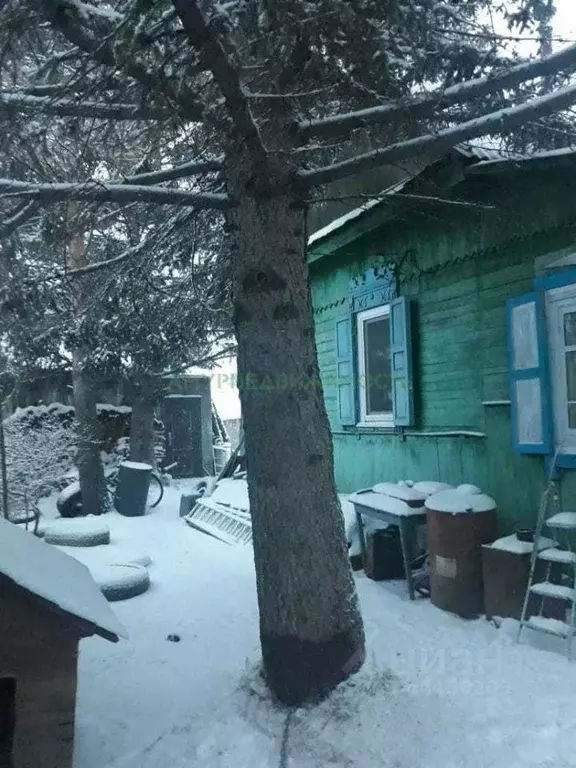Дом в Амурская область, Шимановск ул. Ворошилова, 37 (38 м) - Фото 0