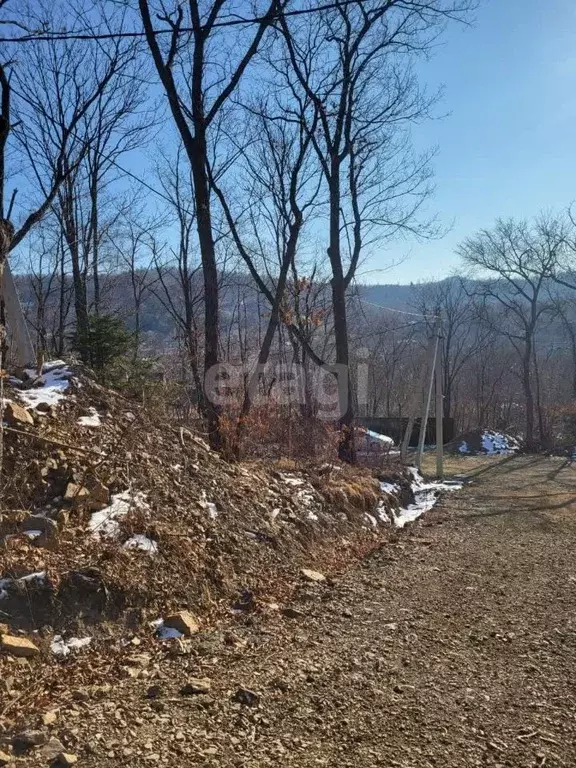 Участок в Приморский край, Владивосток Яблоневая ул. (12.0 сот.) - Фото 1