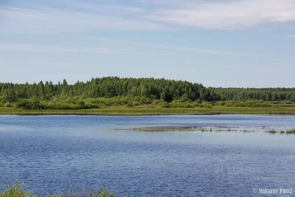 Участок в Тверская область, Оленинский район, д. Дубровка  (3.74 сот.) - Фото 0