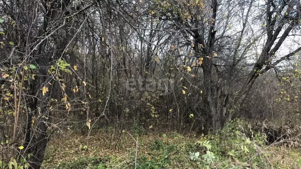 Участок в Воронежская область, Семилукский район, с. Латное Солнечная ... - Фото 1