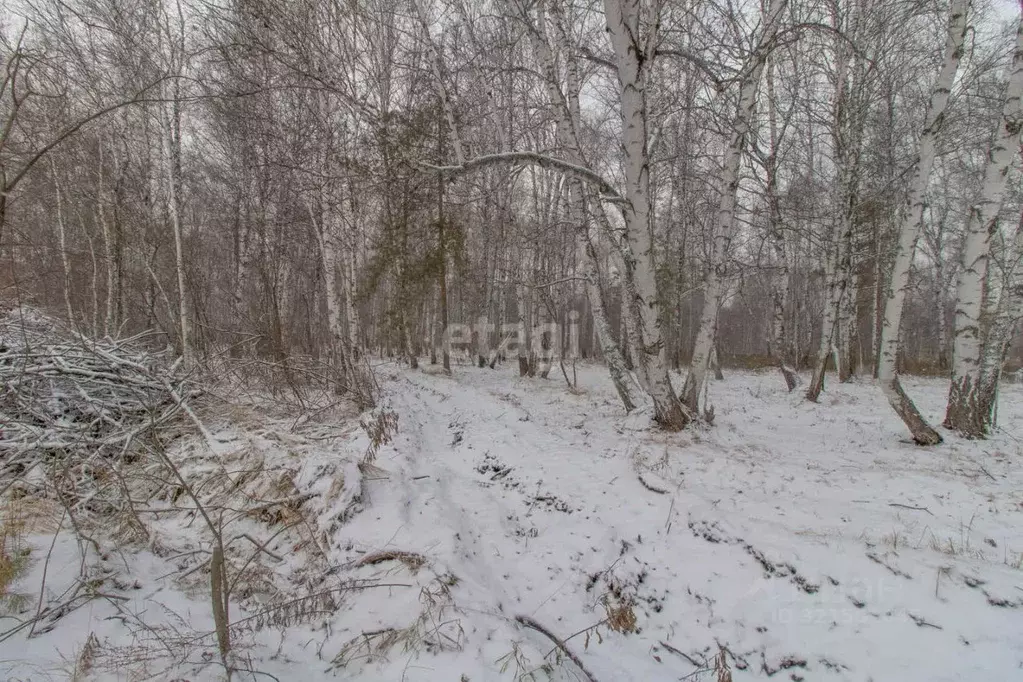 Участок в Тюменская область, Тюмень ул. Рублевская (19.0 сот.) - Фото 0