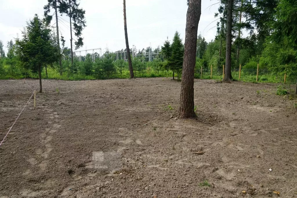 Участок в Московская область, городской округ Балашиха (6 м) - Фото 1