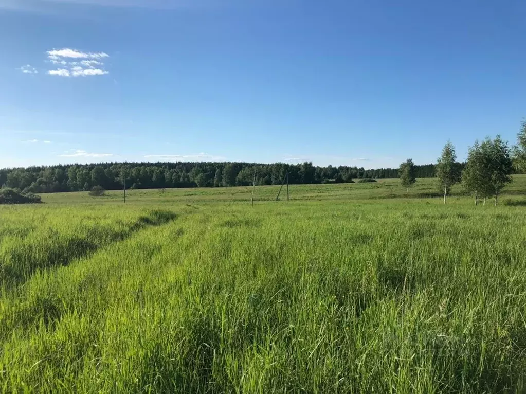 Участок в Ярославская область, Переславль-Залесский городской округ, ... - Фото 0