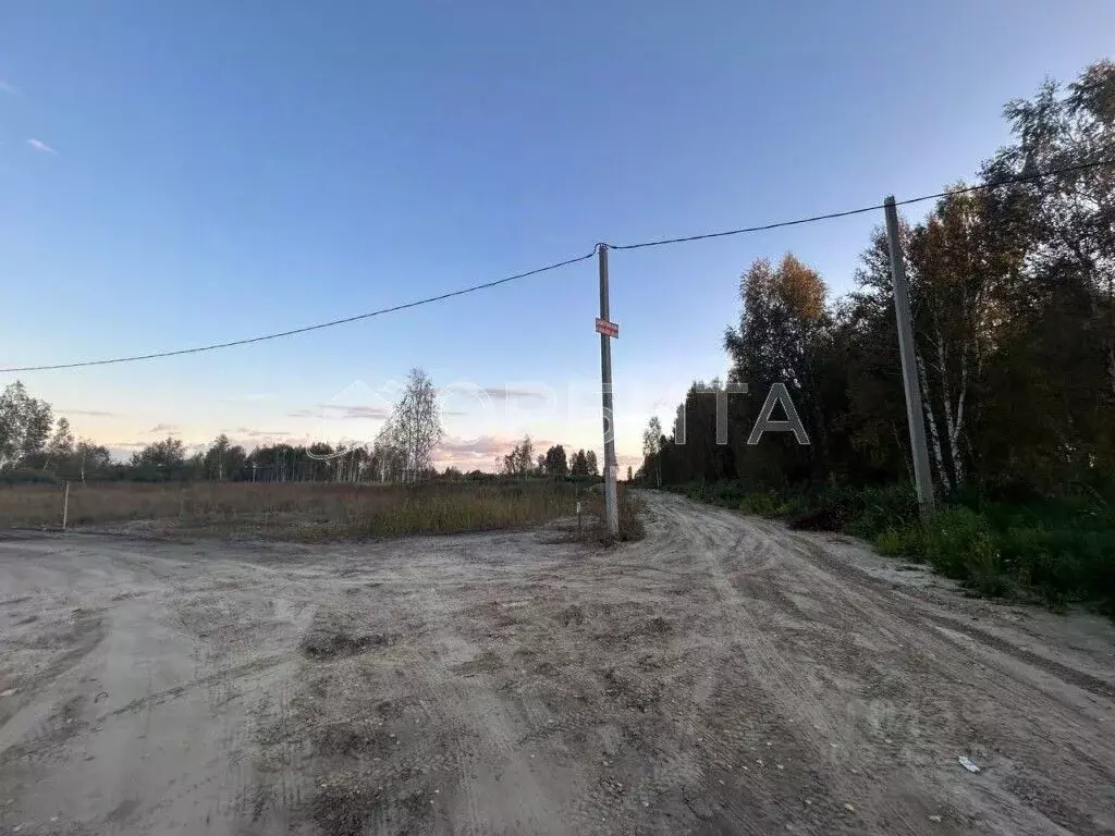 Участок в Тюменская область, Нижнетавдинский муниципальный округ, ... - Фото 1