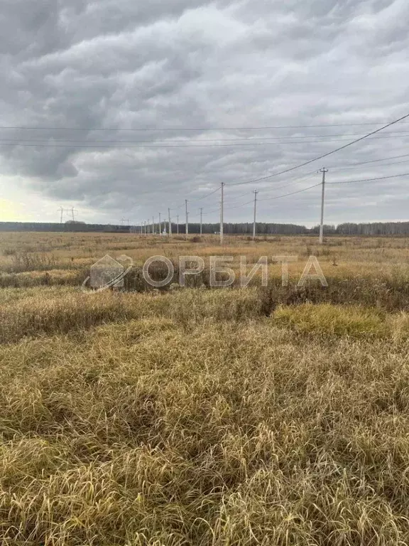 Участок в Тюменская область, Тюменский район, с. Каменка  (7.55 сот.) - Фото 0