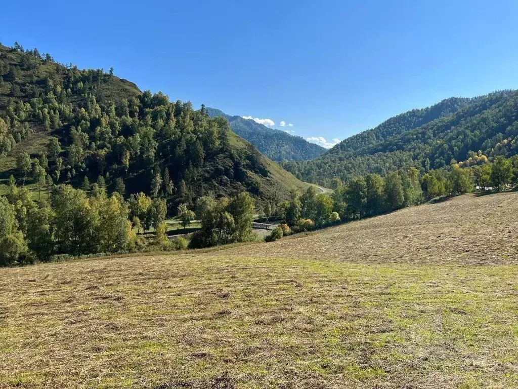 Участок в Алтай, Чемальский район, Чемальское с/пос  (35.07 сот.) - Фото 1