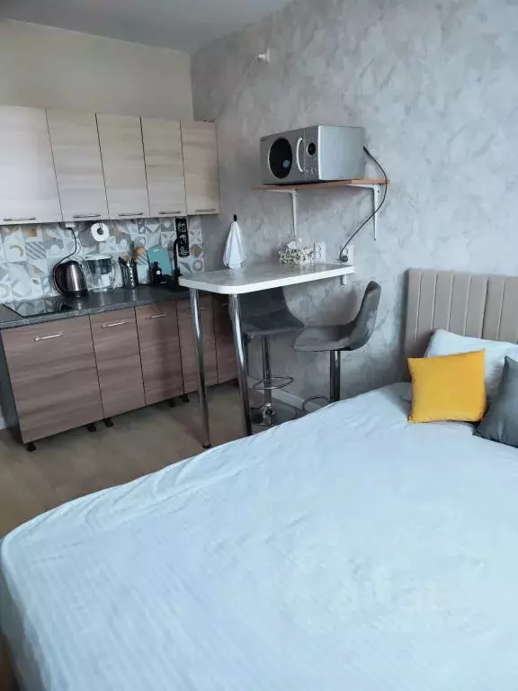 1-к кв. Свердловская область, Екатеринбург пер. Утренний, 7 (19.0 м) - Фото 1