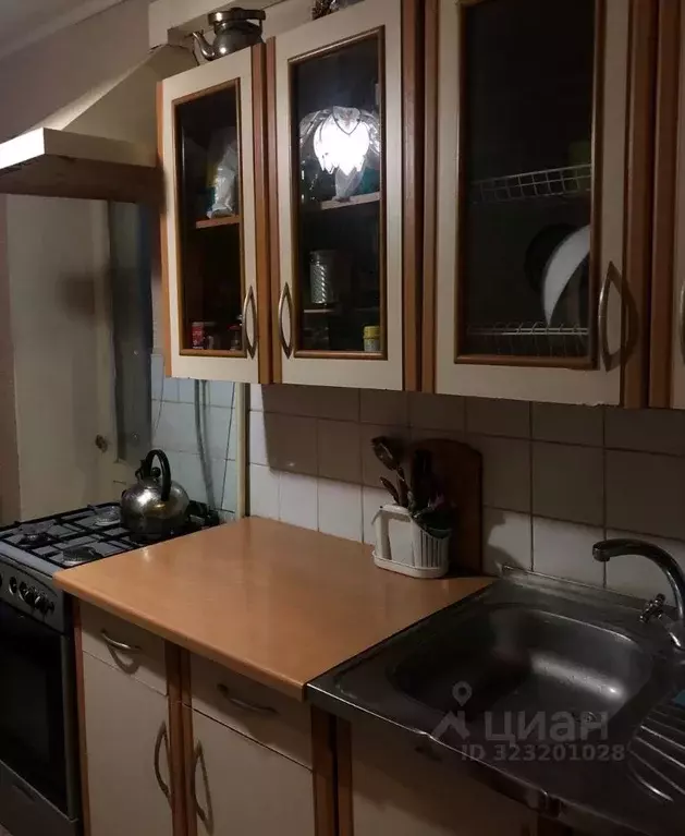 2-к кв. Пермский край, Пермский муниципальный округ, д. Песьянка ул. ... - Фото 1