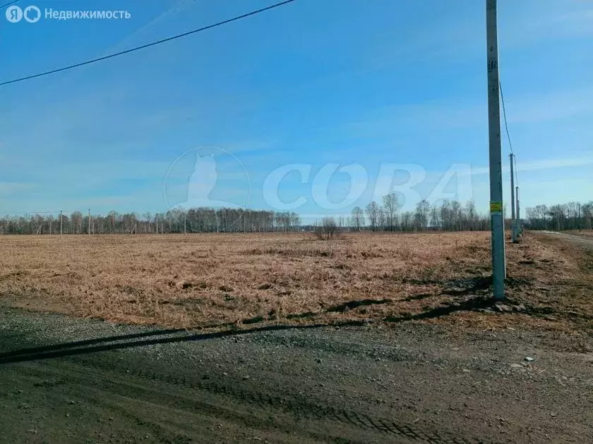 Участок в Тюменский район, Горьковское муниципальное образование (8 м) - Фото 1