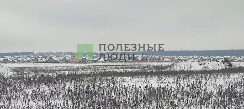 Участок в Белгородская область, Белгородский район, Беловское с/пос, ... - Фото 1