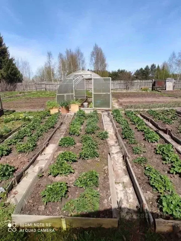 Дом в Ярославская область, Рыбинский муниципальный округ, д. Гридино  ... - Фото 0