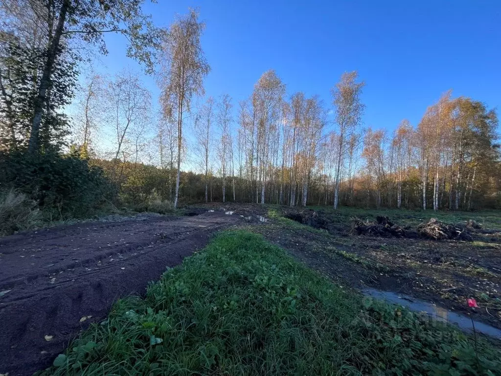 Участок в Ленинградская область, Приозерский район, Кузнечнинское ... - Фото 0