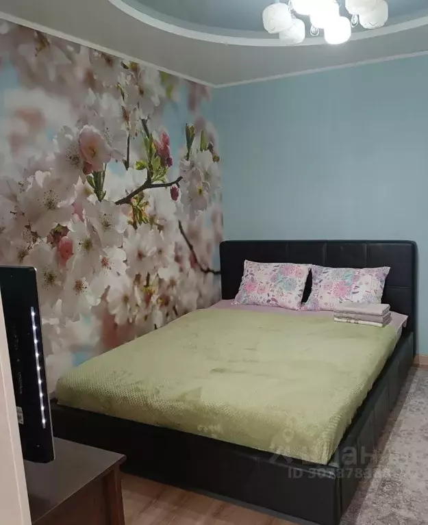 1-к кв. Архангельская область, Няндома ул. Ленина, 47 (31.0 м) - Фото 1