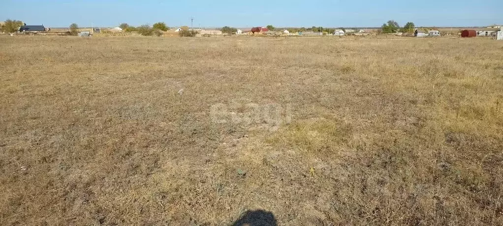 Участок в Крым, Черноморский район, Оленевское с/пос, с. Калиновка ул. ... - Фото 1