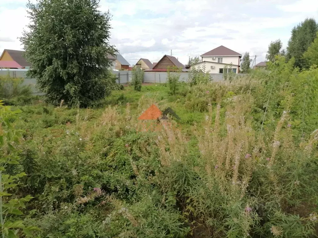 Участок в Новосибирская область, Новосибирский район, с. Толмачево ул. ... - Фото 0