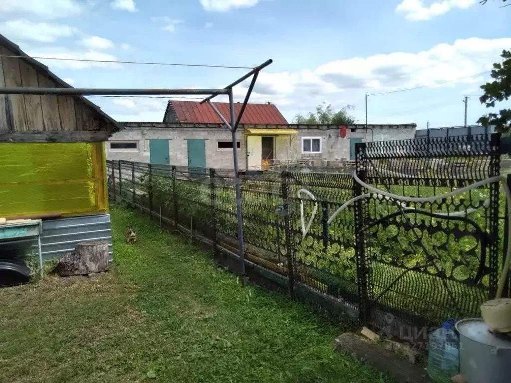 Участок в Самарская область, Шигонский район, с. Суринск Советская ... - Фото 1