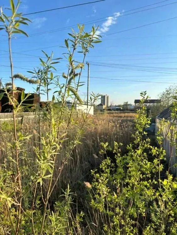 Участок в Саха (Якутия), Якутск Загородный кв-л, ул. Кржижановского ... - Фото 0